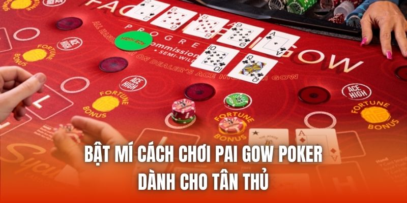 Bật mí cách chơi Pai Gow Poker dành cho tân thủ