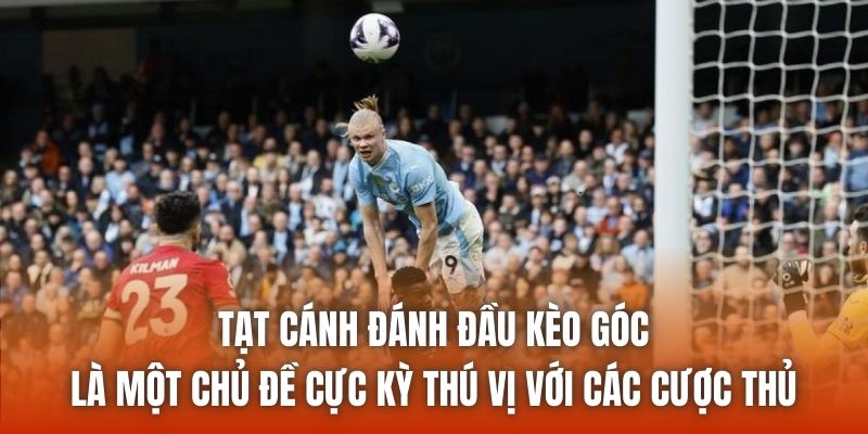 Tạt cánh đánh đầu kèo góc là một chủ đề cực kỳ thú vị với các cược thủ
